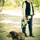 Illustration for article titled The most adorable Han Solo and Chewbacca are this kid and his dog